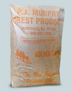 P.J. Murphy Golden Chip